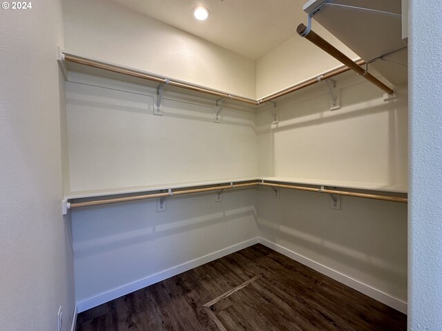 spacious closet featuring dark hardwood / wood-style flooring