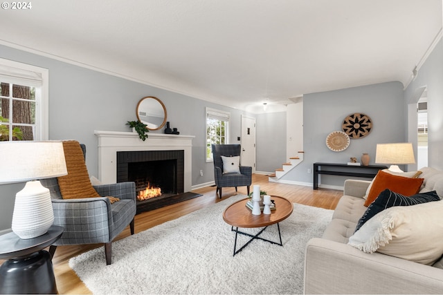 living room featuring a fireplace and light hardwood / wood-style flooring