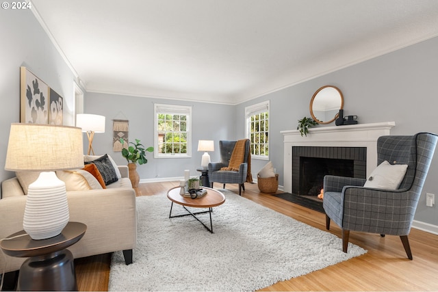 living room with crown molding, a fireplace, and hardwood / wood-style flooring