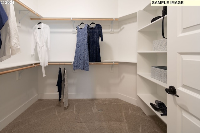 spacious closet featuring carpet floors