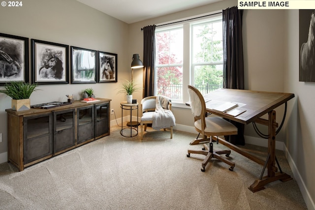 carpeted office featuring plenty of natural light