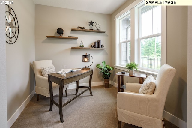 view of carpeted office space