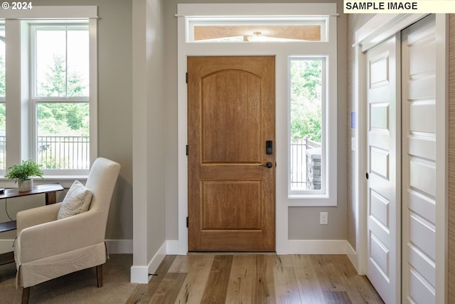 entryway featuring light hardwood / wood-style floors and plenty of natural light