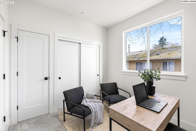 office with carpet floors