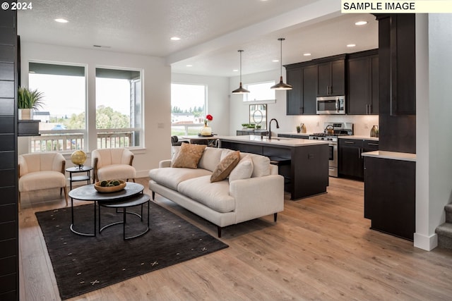 living room featuring sink and light hardwood / wood-style flooring