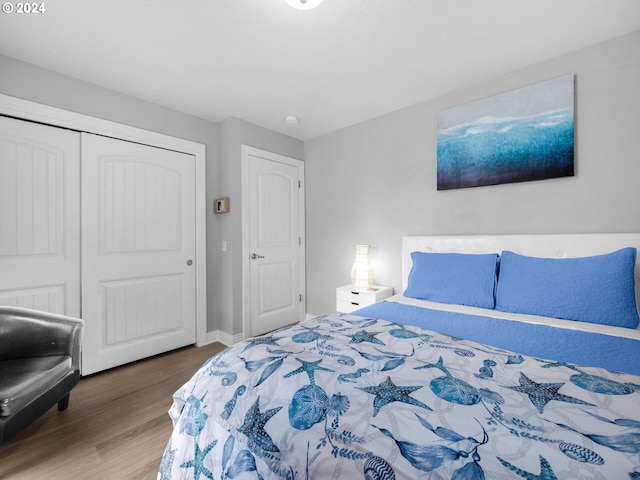 bedroom featuring wood-type flooring and a closet