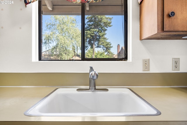 interior details with sink