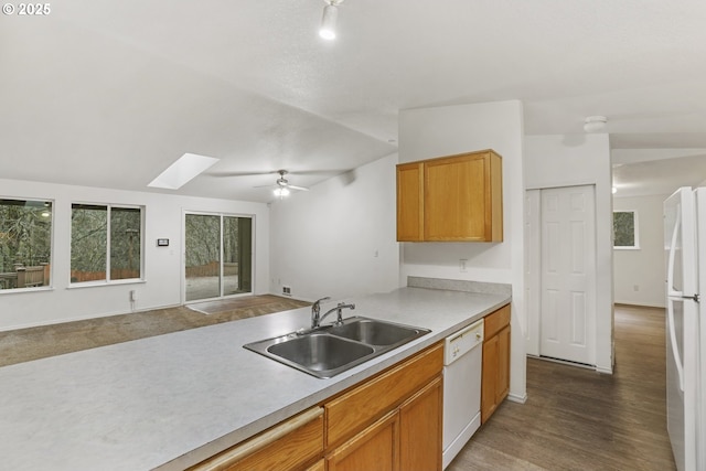 kitchen with dark hardwood / wood-style flooring, vaulted ceiling with skylight, white appliances, ceiling fan, and sink