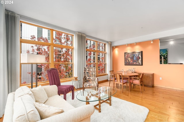 living room featuring rail lighting, light hardwood / wood-style floors, and floor to ceiling windows