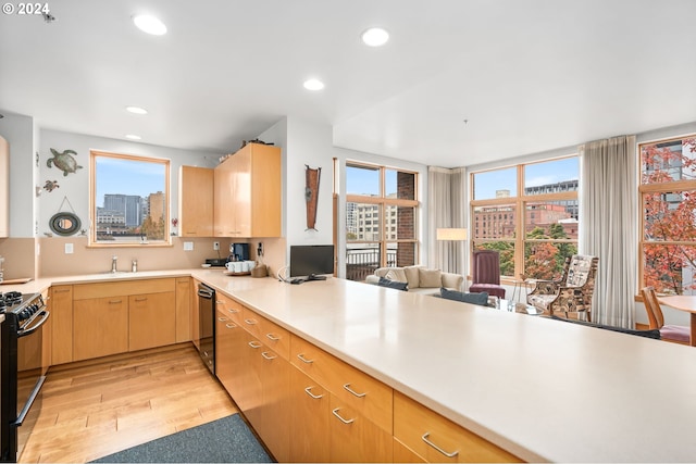 kitchen with a wealth of natural light, dishwasher, gas stove, and light wood-type flooring