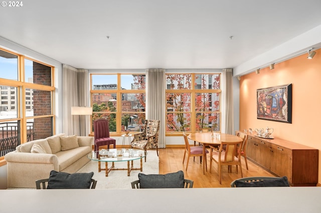 living room featuring expansive windows and light hardwood / wood-style flooring