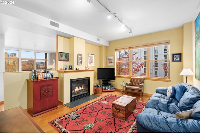 living room featuring light hardwood / wood-style floors, a healthy amount of sunlight, and rail lighting