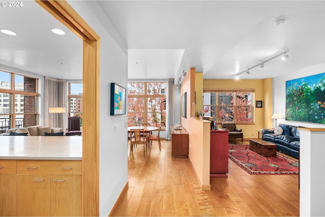 kitchen featuring light hardwood / wood-style flooring and track lighting