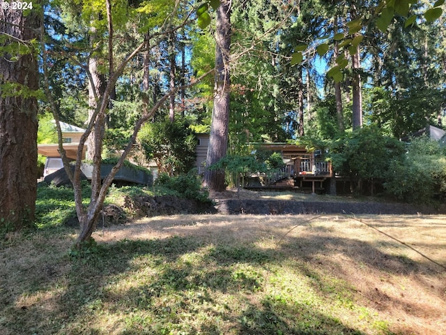 view of yard featuring a deck