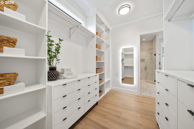 walk in closet with light hardwood / wood-style flooring