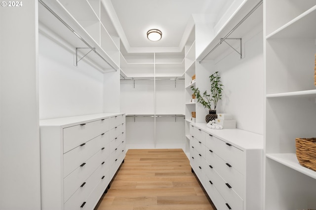 walk in closet featuring light hardwood / wood-style flooring