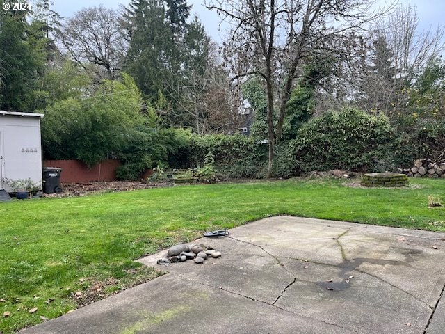 view of yard with a patio area