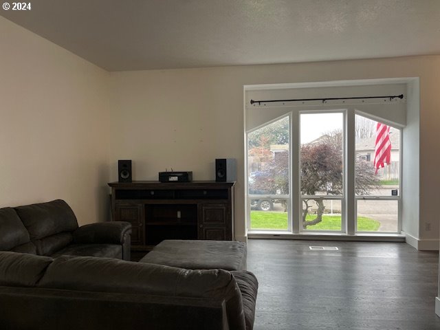 living room with dark hardwood / wood-style floors