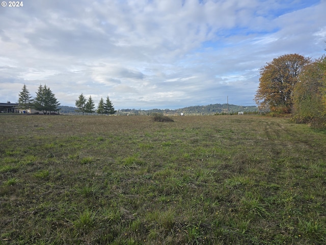 view of yard featuring a rural view