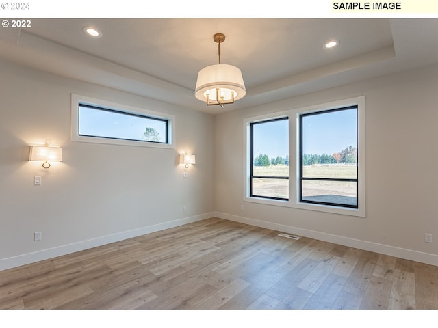 unfurnished room with light hardwood / wood-style floors, a tray ceiling, and a healthy amount of sunlight