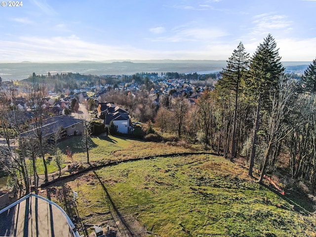 3003 NW 13th Cir, Camas, WA 98607
