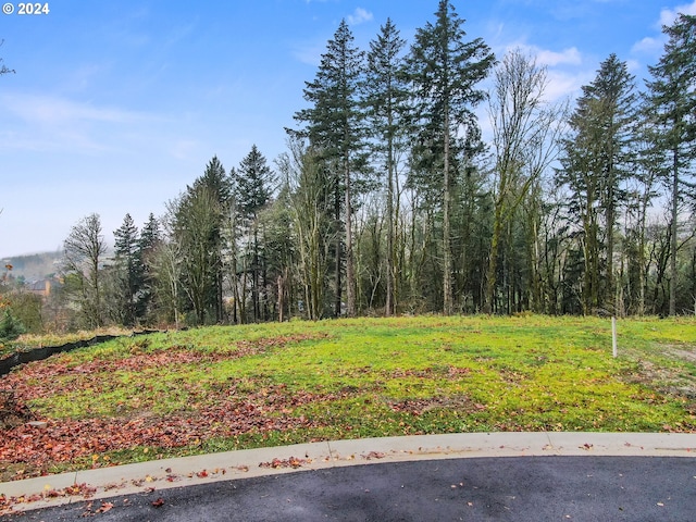 3003 NW 13th Cir, Camas, WA 98607