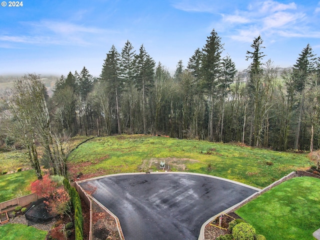 3003 NW 13th Cir, Camas, WA 98607