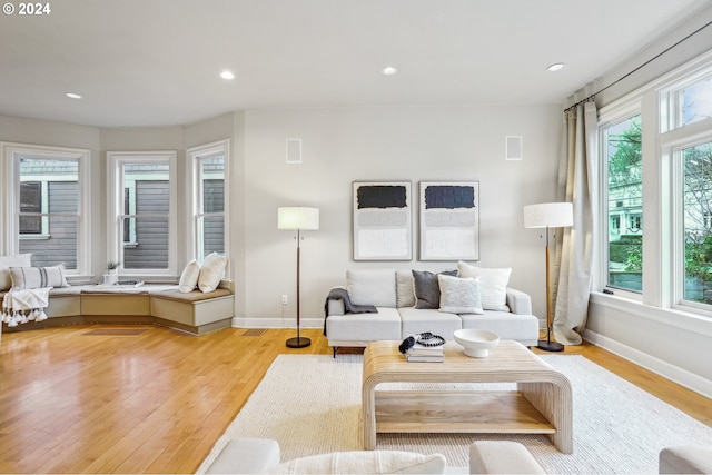 living room with light wood-type flooring