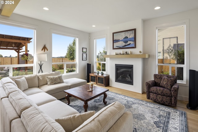 living room with light hardwood / wood-style floors