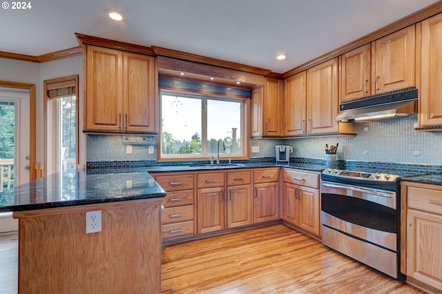 kitchen featuring plenty of natural light, light hardwood / wood-style floors, and stainless steel electric range