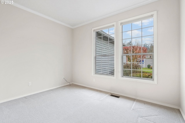 empty room featuring crown molding, carpet floors, and a wealth of natural light