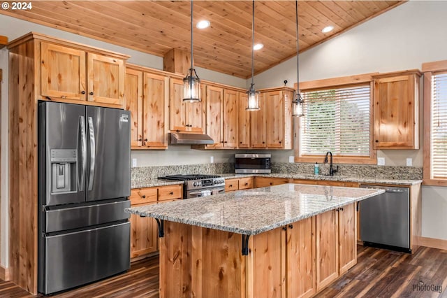 kitchen with exhaust hood, appliances with stainless steel finishes, a center island, lofted ceiling, and pendant lighting