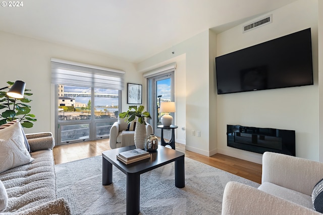 living room with hardwood / wood-style flooring