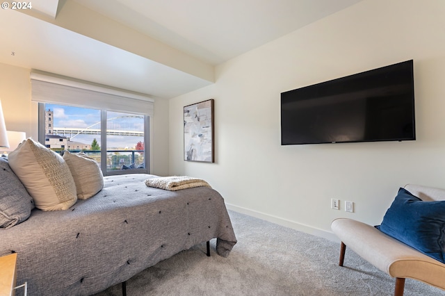 view of carpeted bedroom