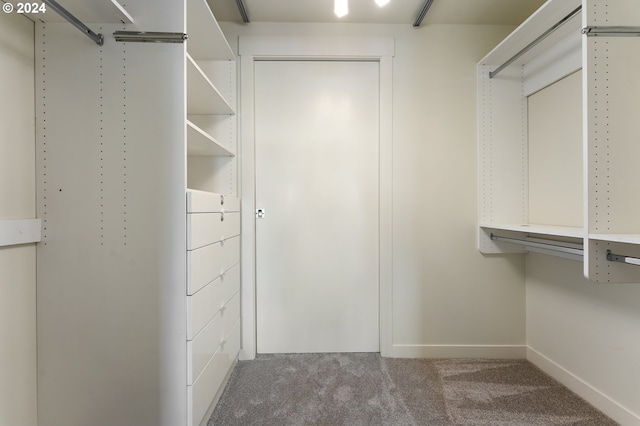 spacious closet with carpet