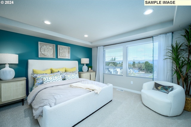 bedroom featuring a tray ceiling and carpet floors