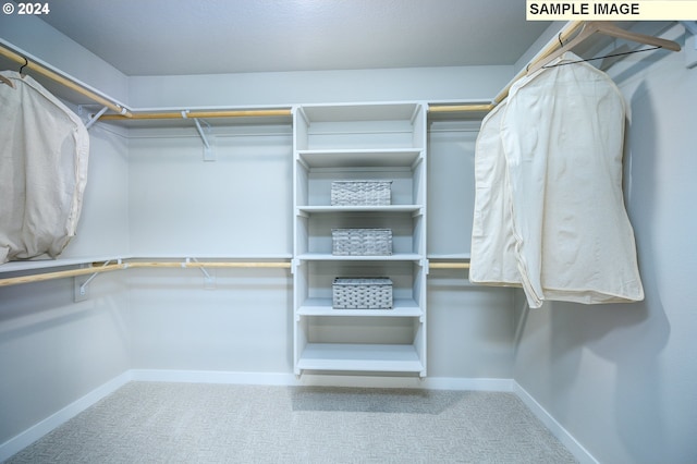 walk in closet featuring carpet floors