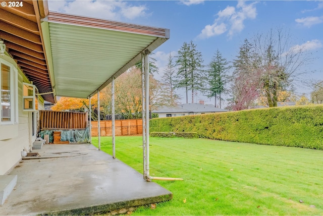 view of yard featuring a patio