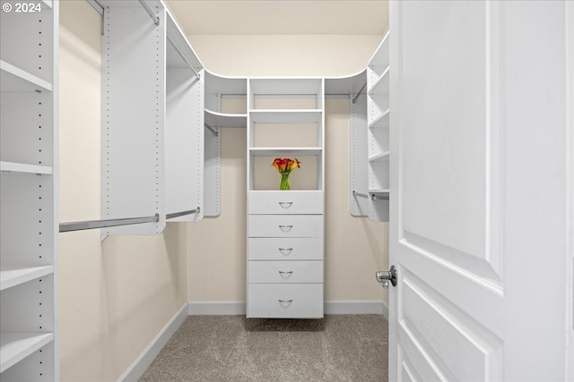 walk in closet with carpet