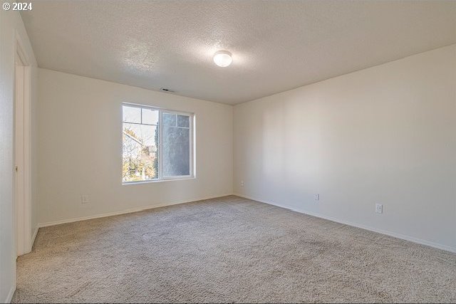 spare room featuring a textured ceiling and light carpet