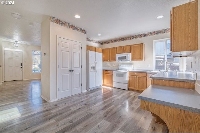 kitchen featuring a textured ceiling, light hardwood / wood-style floors, sink, and white appliances