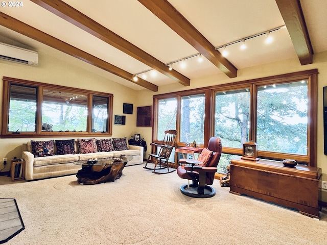 242 Rocky Point Ln, Roseburg, OR 97471 - carpeted living area with track lighting and a wall unit AC