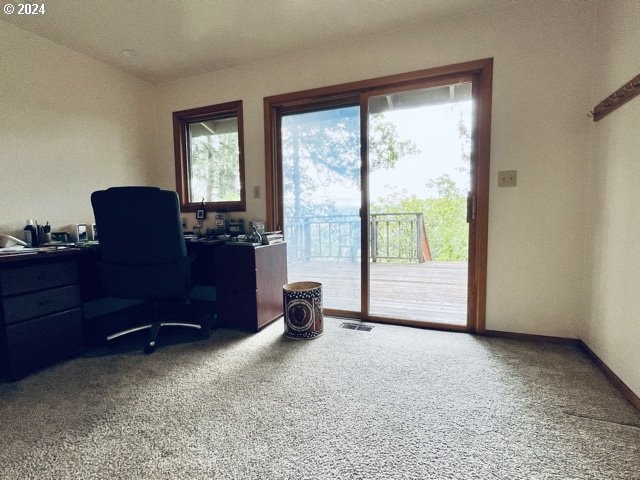 242 Rocky Point Ln, Roseburg, OR 97471 - view of carpeted office