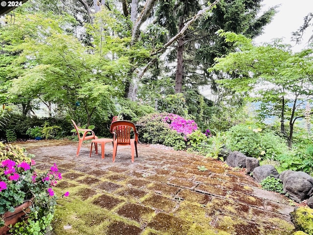 242 Rocky Point Ln, Roseburg, OR 97471 - view of patio