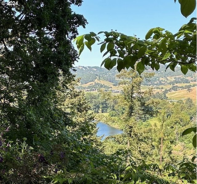 242 Rocky Point Ln, Roseburg, OR 97471 - water view featuring a heavily wooded area