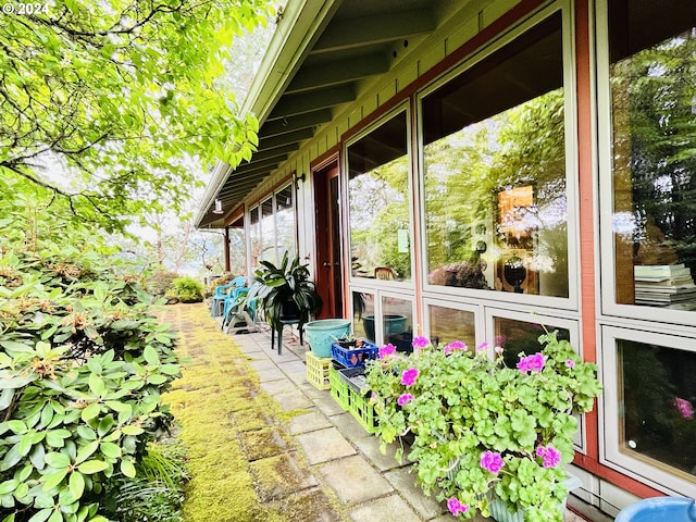 242 Rocky Point Ln, Roseburg, OR 97471 - view of yard