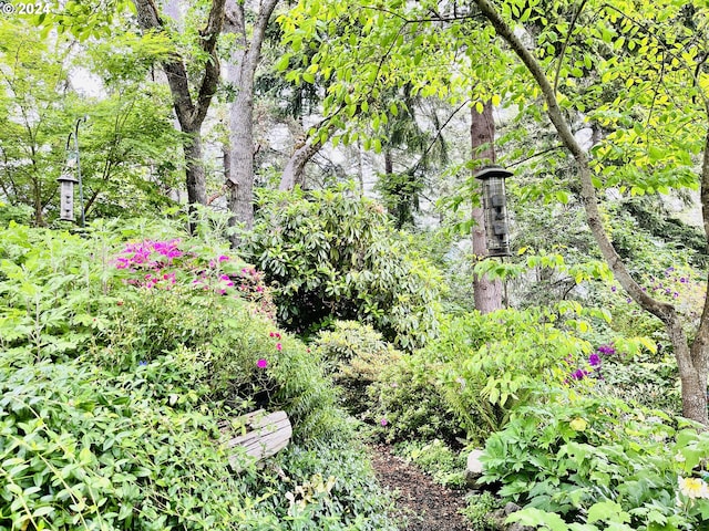 242 Rocky Point Ln, Roseburg, OR 97471 - view of nature