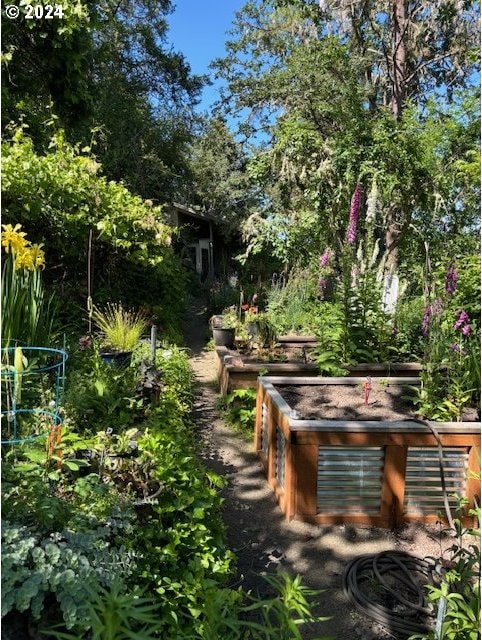 242 Rocky Point Ln, Roseburg, OR 97471 - view of yard