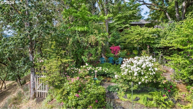 242 Rocky Point Ln, Roseburg, OR 97471 - view of local wilderness