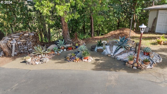 242 Rocky Point Ln, Roseburg, OR 97471 - view of yard